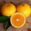 庆元高山甜桔柚项目介绍-庆元高山甜桔柚市场
