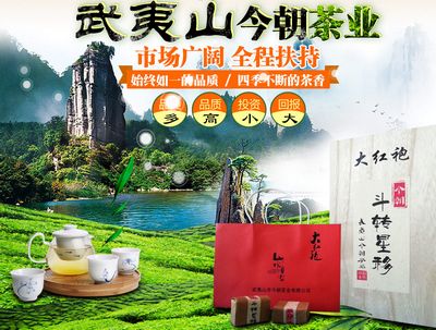 武夷山今朝茶业有限公司