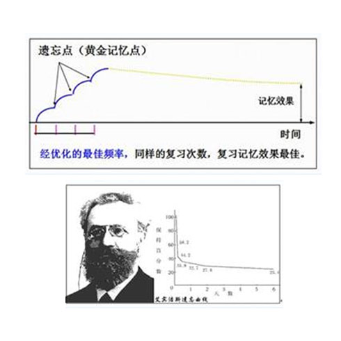 艾宾浩斯智能教育