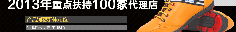 2013年重点扶持100家代理店