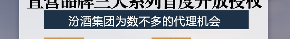 汾酒杏花村酒加盟山西杏花村汾酒集团有限责任公司