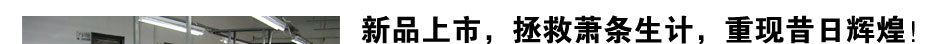 金尚德——2013致富新项目