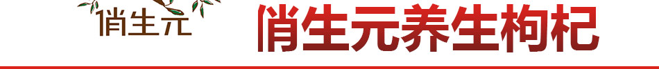 俏生元养生枸杞加盟无需技术