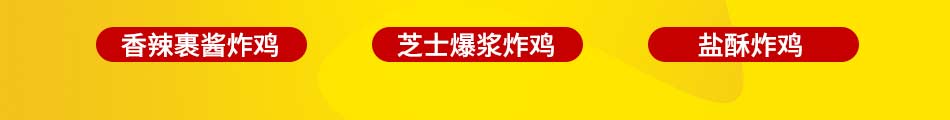 正仔炸鸡加盟公司简介