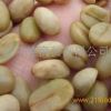 云南产阿拉比卡种小粒咖啡生豆