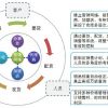 DRP分销管理系统 服装分销系统 服装ERP 进销存软件