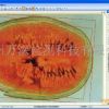 LA-S瓜果剖切面瓤色图像分析仪系统