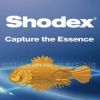 一级代理shodex（昭和）色谱柱