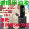 美国进口原料 美甲猫眼甲油胶 72个经典猫眼甲油胶颜色 甲油胶