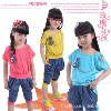 分销款 童装女童2013夏季新款女童套装 时尚韩版女童套装2072