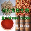 宝恩花生红衣提取物原花青素95％