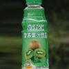 豫溪奇异果营养果汁饮品500ml