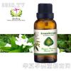 aromatherapy腰腹暖暖按摩精油