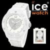 Ice-Watch比利时腕表样品