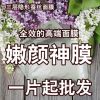 蜗牛蚕丝蛋白美白面膜 美白补水祛黄舒抗皱 嫩肤神膜 化妆品OEM