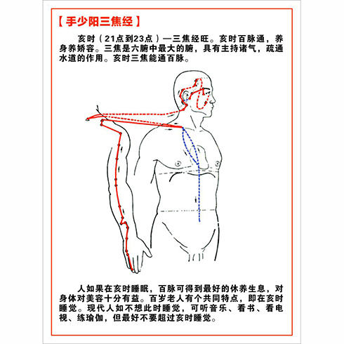 手少阳三焦经_大不同经络调理养生堂-3158招商加盟网