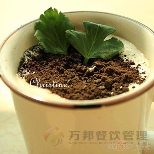 盆栽奶茶