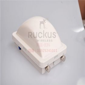 Ruckus优科901-7731-CN02